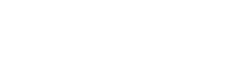 secur-itech-logo-white-sub-white.png